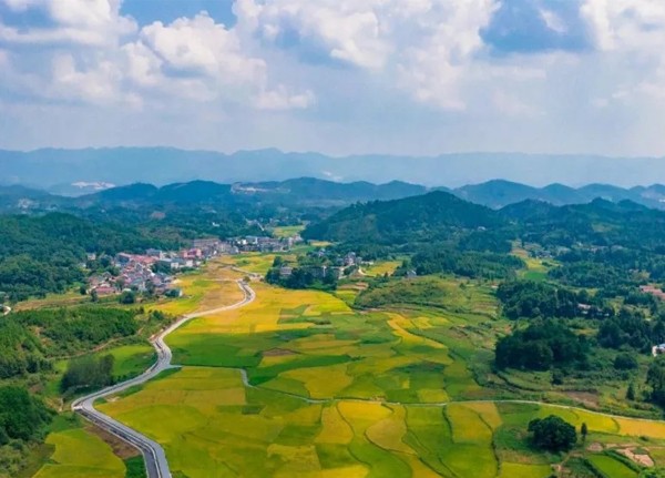 加快建設(shè)農(nóng)業(yè)強(qiáng)國，新儀持續(xù)注入力量！